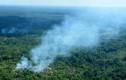 Các quốc gia Nam Mỹ nhóm họp bàn chính sách bảo vệ rừng Amazon