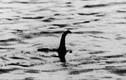 Giải mã bí ẩn "quái vật" hồ Loch Ness kỳ bí không ai ngờ tới