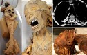 Giải mã bí ẩn xác ướp “người phụ nữ la hét” 3.000 tuổi