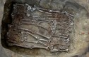 Phát hãi ngôi mộ tập thể 5.000 tuổi chứa hài cốt bị chặt đầu