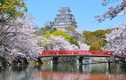 Kiến trúc độc đáo của lâu đài cổ nổi tiếng Nhật Bản