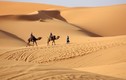 Loạt sự thật gây kinh ngạc về sa mạc Sahara nổi tiếng thế giới