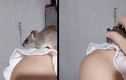 Quái dị cô gái nuôi chuột đồng như thú cưng
