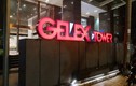 Gelex cầm cố cổ phiếu VGC đảm bảo cho công ty con