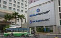 Ocean Group lên kế hoạch xoá nợ 2.553 tỷ đồng khó đòi