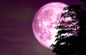 Chiêm ngưỡng “trăng hồng” kỳ thú xuất hiện trên bầu trời tối nay 