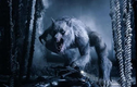 Chấn động những câu chuyện bị nghi có thật về người sói 