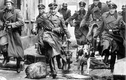 5 lực lượng cảnh sát mật tàn bạo nhất lịch sử thế giới