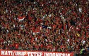 CĐV Indonesia tẩy chay đội tuyển quốc gia
