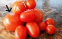Bí quyết nhận biết cà chua "tắm ngập" trong hoá chất độc hại