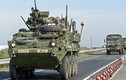 Điềm gở cho cho cuộc tập trận lớn nhất của NATO