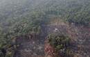 Rừng Amazon bị bốc cháy thất thoát hơn 8 tỷ USD mỗi năm