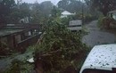 Kinh hoàng siêu bão Maria tàn phá vùng Caribe