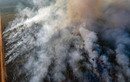 Cháy rừng Amazon dữ dội, Brazil tức tốc điều chiến đấu cơ dập lửa