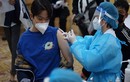 Hà Nội dừng hai lô vắc xin tăng hạn sử dụng để xin ý kiến Bộ Y tế