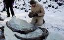 Tình cờ phát hiện ngà voi ma mút khổng lồ 10.000 năm tuổi