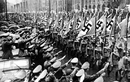 Phi vụ ám sát trùm phát xít Hitler do quân đội Đức thực hiện