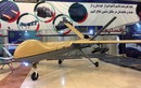 Iran có sợ lệnh trừng phạt của Mỹ, khi cung cấp UAV cho Nga?