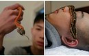 Thanh niên sống chung với hơn 20 con rắn độc 