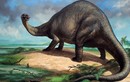Những khám phá gây choáng váng về loài khủng long