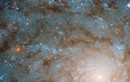 Hubble chụp dấu vân tay của một thiên hà thiếu máu