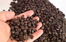 Phân biệt cà phê tự nhiên và cà phê tẩm hóa chất như thế nào?