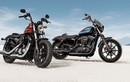 Harley-Davidson Forty-Eight Special 2018 giá từ 227 triệu đồng