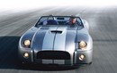 Chiếc Shelby Cobra 2004 này chào bán tới hơn 60 tỷ đồng