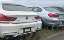 Gần 3.000 xe sang BMW và Mini “dầm sương, dãi nắng” suốt 6 năm