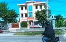 4 CSGT Đà Nẵng làm lái xe, trực ban sau clip tố vi phạm của người đi đường