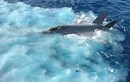 Nóng: Lộ video máy bay chiến đấu F-35 Mỹ rơi ở Biển Đông