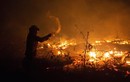 Xúc động cảnh lính cứu hỏa liều mình cứu rừng Amazon