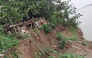 Bờ sông Hồng sạt lở, hơn 20 hộ dân sợ bị “Hà Bá” nuốt chửng
