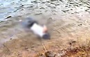 Quảng Ninh: Phát hiện thi thể một đàn ông trôi nổi trên hồ Yên Trung
