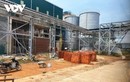 Lo ngại ô nhiễm môi trường từ Dự án Nhà máy bột - giấy ở Quảng Ngãi