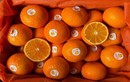 Giữa lúc cam, quýt tăng giá, nhiều loại trái cây sang chảnh rẻ bất ngờ