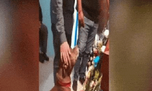 Video: Chú chó đến tiễn biệt chủ lần cuối, bất ngờ việc làm đầy cảm động
