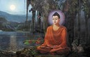  Phật dạy: 5 nguy hại với người đặt điều, 5 lợi ích với người nói đúng