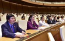 Quốc hội biểu quyết thông qua Luật Cảnh sát biển Việt Nam