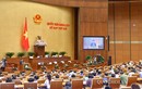Chủ tịch nước Nguyễn Phú Trọng sẽ trình bày tờ trình gia nhập Công ước 98 trước QH