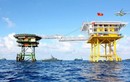 Hội Nghề cá VN phản đối nhóm tàu HD8 vi phạm chủ quyền vùng biển Việt Nam
