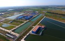 Hà Nội “bác” bù giá 200 tỷ cho Nước Sông Đuống: PCT Hà Nội nói gì?