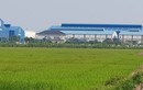 Biệt thự xây trên đất nông nghiệp ở Hải Dương: Huyện Gia Lộc yêu cầu tháo dỡ