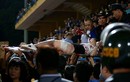 Fan nữ trúng pháo sáng CĐV Nam Định: Di chứng, phục hồi chức năng ra sao?
