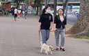 Người dân vẫn mang chó ra phố đi bộ hồ Gươm sau lệnh cấm