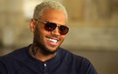 Rapper Chris Brown bị bắt vì dí súng vào đầu hoa hậu