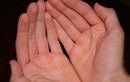 Lòng bàn tay có 4 dấu hiệu này dự báo số mệnh phú quý, phát tài