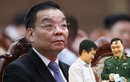 Chủ tịch Chu Ngọc Anh liên quan gì với Công ty Việt Á?