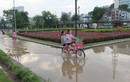 Quảng Ninh: Công viên hoa trăm tỷ “cứ mưa là lụt“