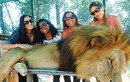 Sở thú tiêm chất kích thích sư tử chụp ảnh ngoan hiền